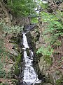 Ablauf des Lerbachs am Hüttenteichs in Lerbach