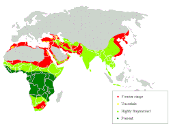 Distribución del leopardo