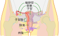 2019年2月8日 (五) 10:33版本的缩略图