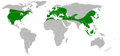 07:41, 31 uztaila 2007 bertsioaren iruditxoa