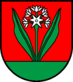 Bärlauch