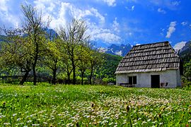 Mai: Frühling im Valbonatal