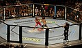 Image 49UFC 74; Clay Guida vs. Marcus Aurelio (from Mixed martial arts)