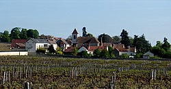 Skyline of Morey-Saint-Denis