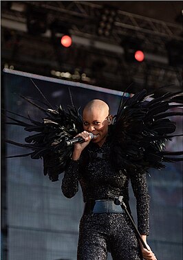 Skin van Skunk Anansie