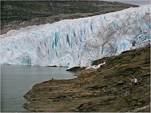 Il ramo Austerdalsisen nei pressi di un lago glaciale.