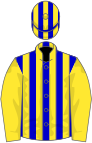 Blue and yellow stripes, yellow sleeves, striped cap