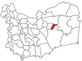 Location in Tulcea County