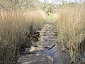 Ancien gué sur le ruisseau se jetant dans le fond de la baie de Kerdréan (limite communale entre Baden et Le Bono).