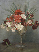 Carnations - a study