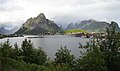 Reine