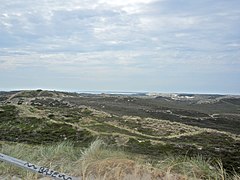 NSG Nord-Sylt