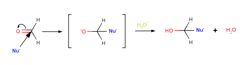 NA mechanismus