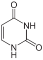 Uracil (U)