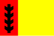 Vlag