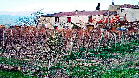 Domaine viticole à Rieux-Minervois.