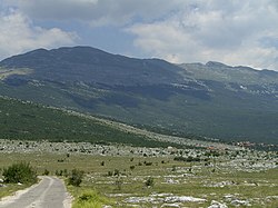 Road in the municipality