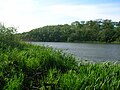 The southern end of Loch Fergus