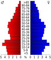 Bevolkingspiramide Bamberg County