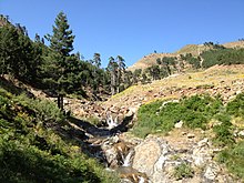 Torrent encaissé entre des rochers entouré d'une végétation éparse essentiellement de conifères et d'arbrisseaux.