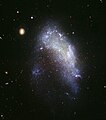 Irr:NGC 1427