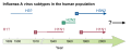 Image 19The various types of influenza viruses in humans. Solid squares show the appearance of a new strain, causing recurring influenza pandemics. Broken lines indicate uncertain strain identifications. (from Influenza pandemic)