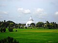 Tissamaharama stupa seen across paddy fields in Tissamaharama, Sri Lanka