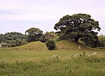 Mochida Kofun Cluster