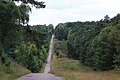 Weg am Südrand des Brachter Waldes