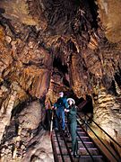 Escalier dans la grotte de Mammoth Cave (Kentucky), aux États-Unis.