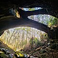 Image 53The Natural Bridge Rock in Winston County is the longest natural bridge east of the Rockies. (from Alabama)