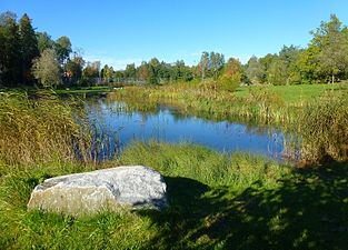 Hedviglundsparken 2015.