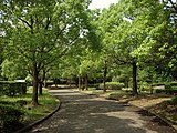 流山市総合運動公園