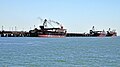 Image 5Cargo ships at the Port of Gladstone, Queensland's largest commodity seaport (from Queensland)