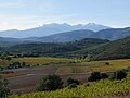 Vineyards a Kudancin Faransa.