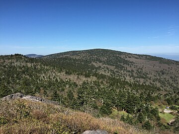 19. Mount Rogers in Virginia