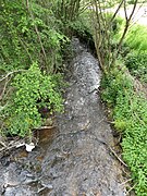 La Beauze au sud de Mergoux, à Saint-Marc-à-Frongier.