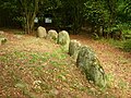 Hünenbett eines Ganggrabes bei Liepen