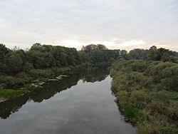 Дисна в Германовичах