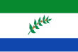 Vlag van Briceño