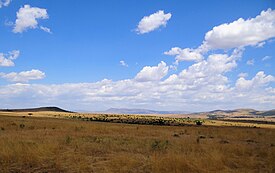 Maasai Mara