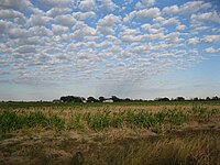 View from Powerline Road near FM 2977