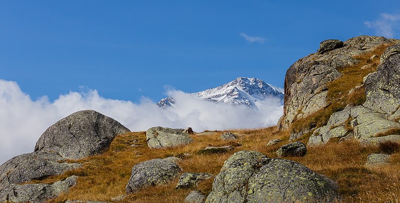 Vista do monte Cevedale, uma montanha na fronteira das regiões da Lombardia e Trentino-Alto Ádige/Südtirol, na Itália. O cume sul (3769 m) é a montanha mais alta da província de Trento, enquanto três províncias, Sondrio, Bolzano e Trento, se encontram no cume norte (3757 m), conhecido como Cima Cevedale ou Zufallspitze. (definição 5 184 × 2 634)