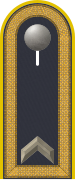 Dienstgradabzeichen auf der Schulterklappe der Jacke des Dienstanzuges für Luftwaffenuniformträger.