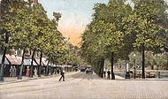 Noordblaak in 1904