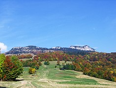 Čierny kameň