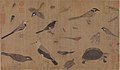 Les Oiseaux précieux décrits sur le vif, Huang Quan, vers 960. Rouleau portatif, encre et couleurs sur soie. 41,5 × 70 cm. Musée du Palais, Pékin.