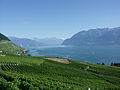 Genevenjärvi Lavaux'n alueella.