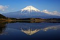 Lake Tanuki