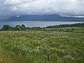 Coastal grassland south of Grogport.